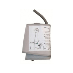 BRASSARD CS2