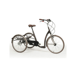 TRICYCLE ADULTE 2219 VINTAGE