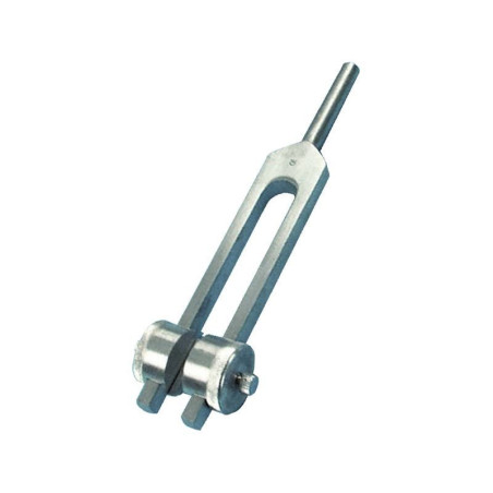 DIAPASON AVEC CURSEUR NÂ°256 VD 16 CM