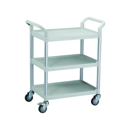 GUERIDON MEDICAL PLASTIQUE