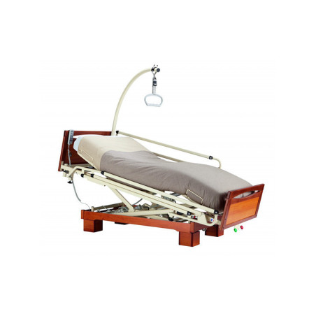 LIT MEDICALISE PROCLIVE EURO 9502